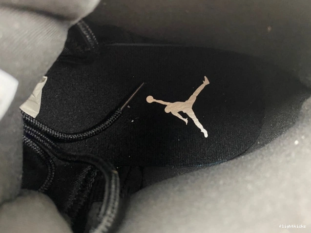 12 Grey Air CT8013-019 Black Jordan Wolf 1106